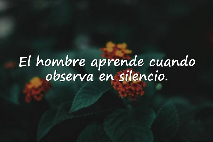 Imágenes frases filosóficas - 16