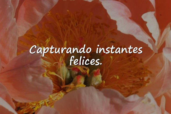 Imágenes frases fotos instagram - 11