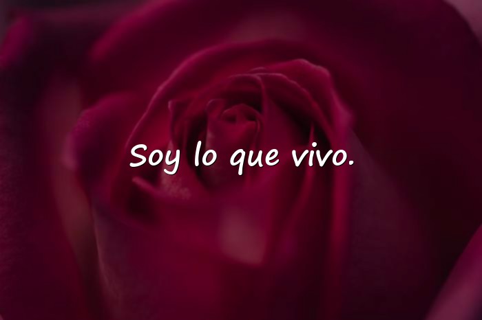 Imágenes frases fotos instagram - 9