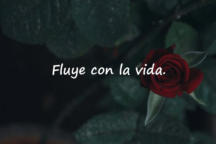 Imágenes frases fotos instagram - 6