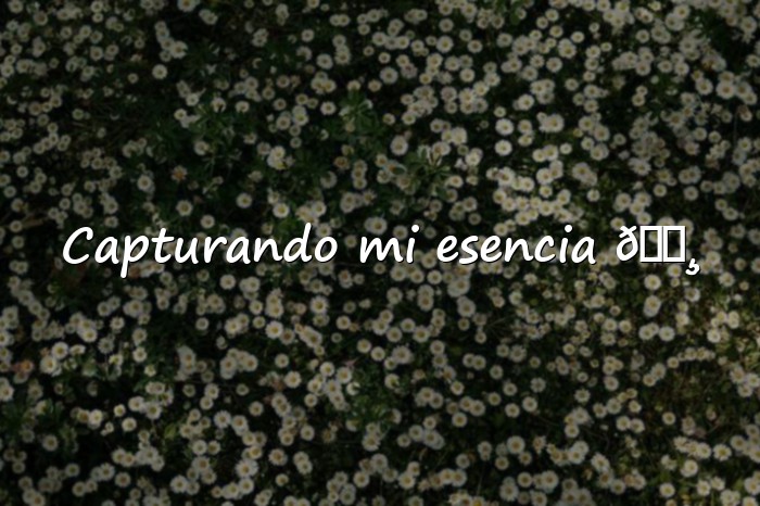 Imágenes frases fotos instagram - 1