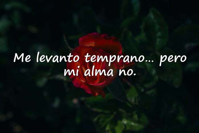 Imágenes frases graciosas - 11