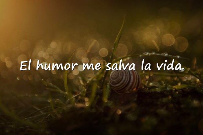 Imágenes frases graciosas - 1