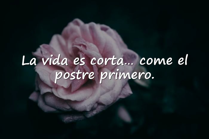 Imágenes frases graciosas - 21
