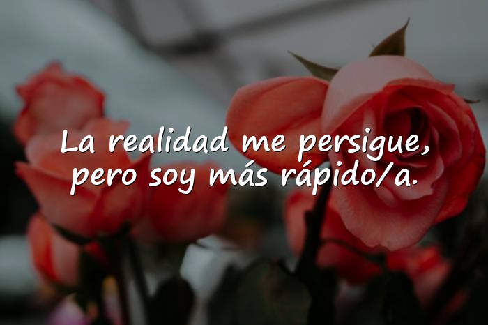 Imágenes frases graciosas - 16