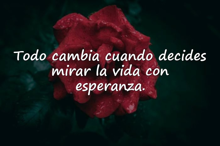 Imágenes frases hermosas - 21