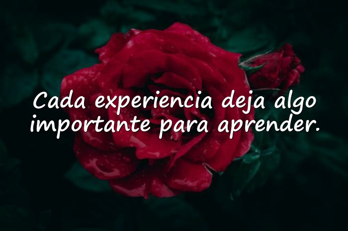 Imágenes frases hermosas - 6