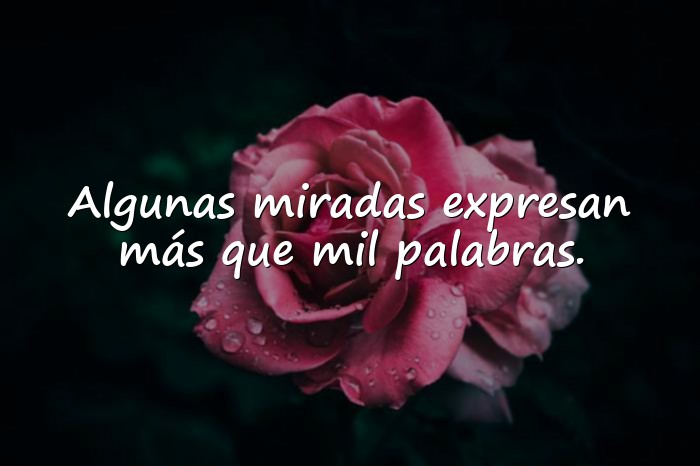 Imágenes frases hermosas - 21