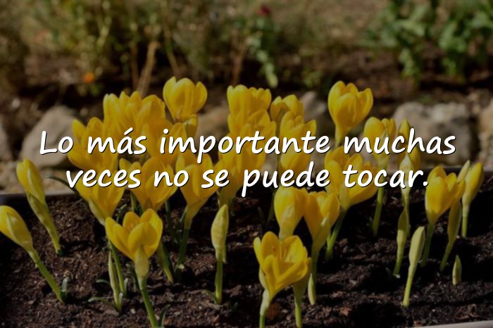 Imágenes frases hermosas - 16
