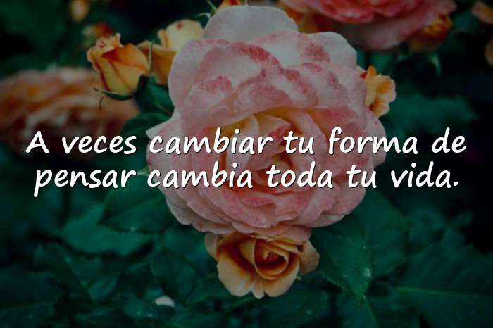 Imágenes frases inspiradoras - 2