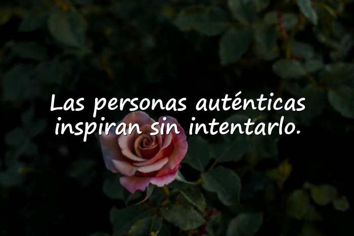 Imágenes frases inspiradoras - 5
