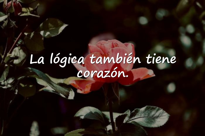 Imágenes frases inteligentes - 13