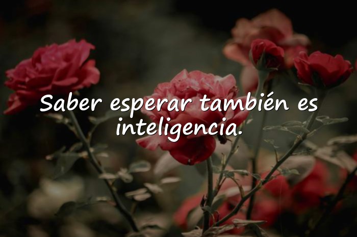 Imágenes frases inteligentes - 4