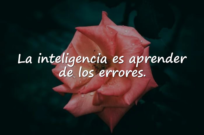 Imágenes frases inteligentes - 24