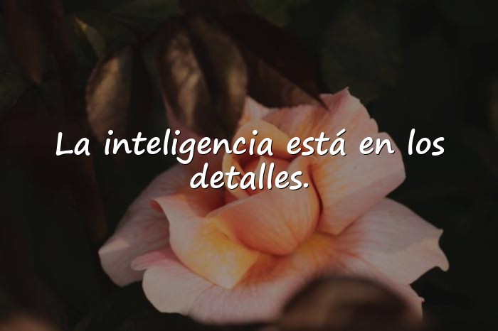 Imágenes frases inteligentes - 20