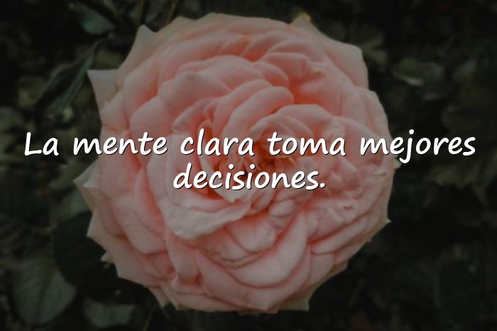 Imágenes frases inteligentes - 15
