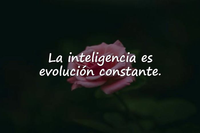Imágenes frases inteligentes - 10