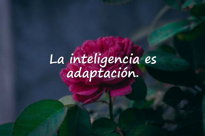 Imágenes frases inteligentes - 5