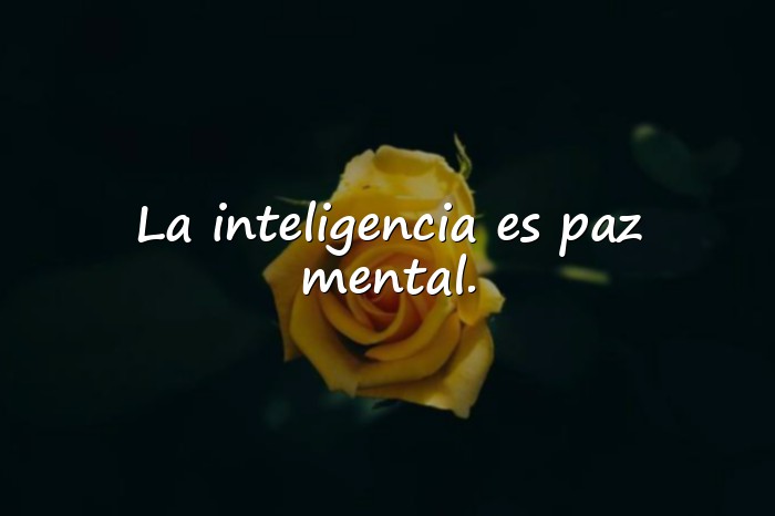 Imágenes frases inteligentes - 1