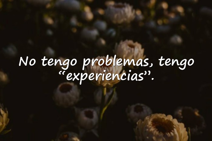 Imágenes frases ironicas - 21