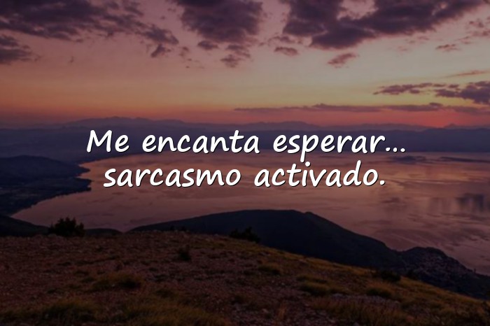 Imágenes frases ironicas - 11