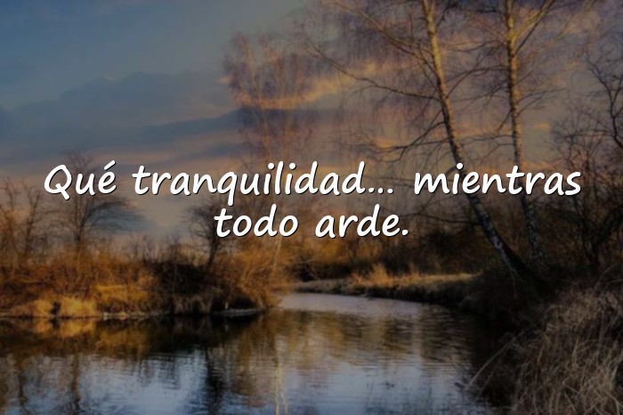 Imágenes frases ironicas - 6