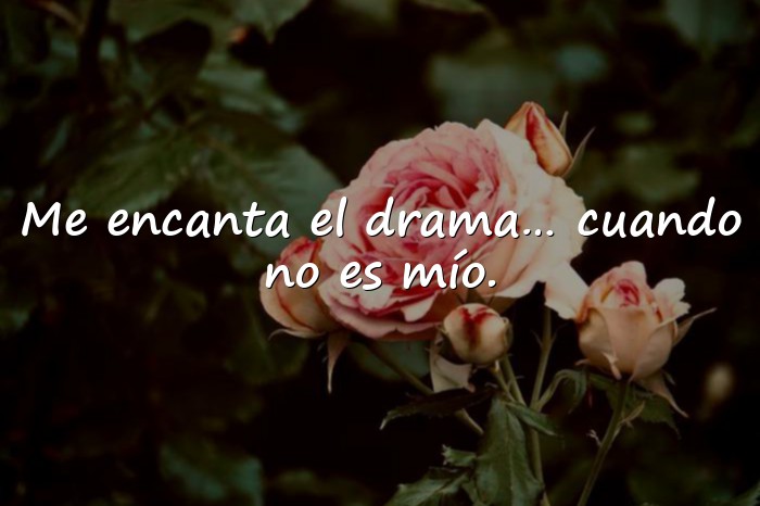 Imágenes frases ironicas - 21