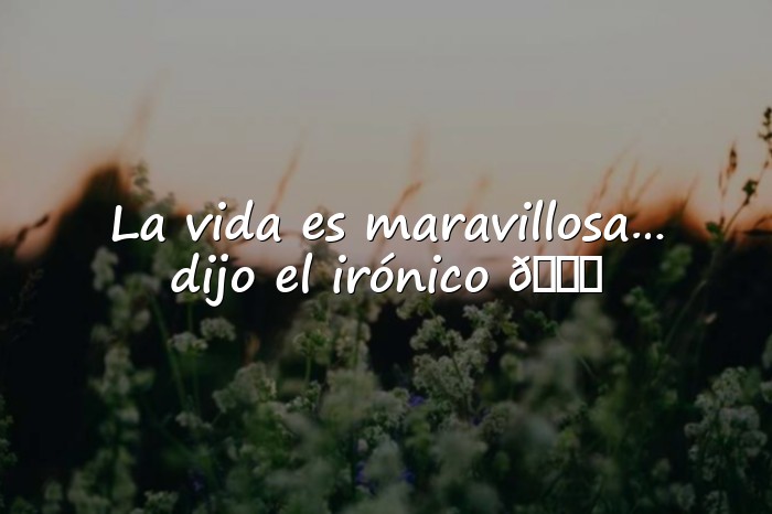 Imágenes frases ironicas - 1