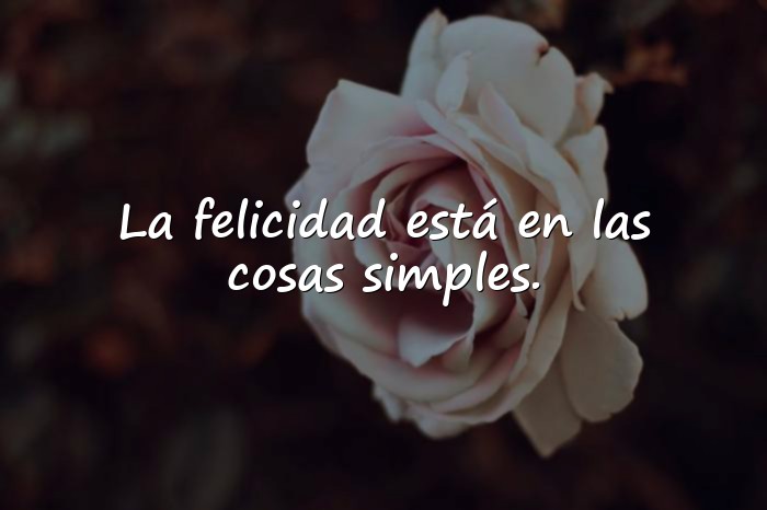 Imágenes frases lindas - 21