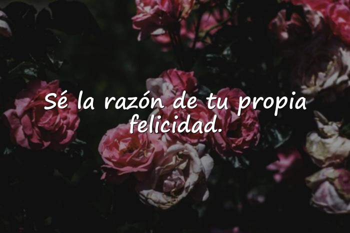 Imágenes frases lindas - 18