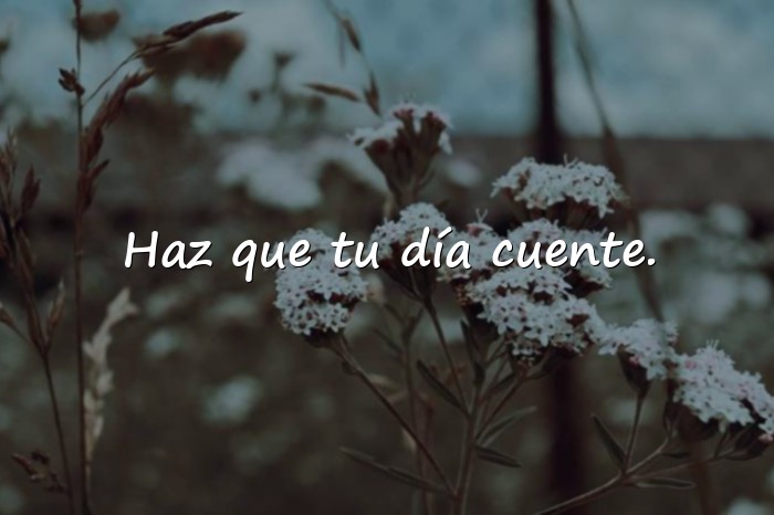 Imágenes frases lindas - 12