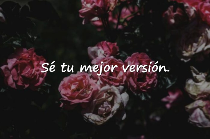 Imágenes frases lindas - 3