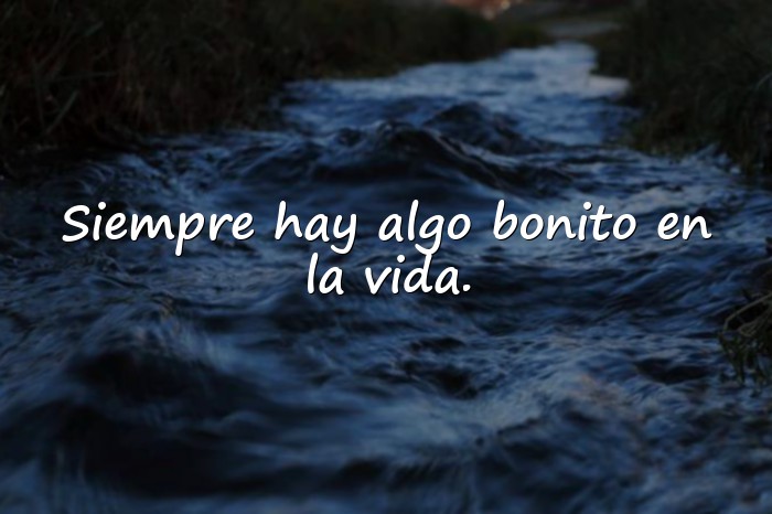 Imágenes frases lindas - 1