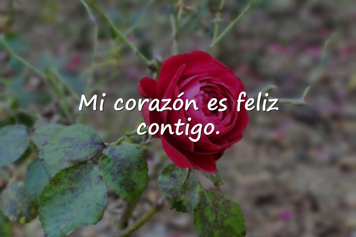 Imágenes frases lindas de amor - 8