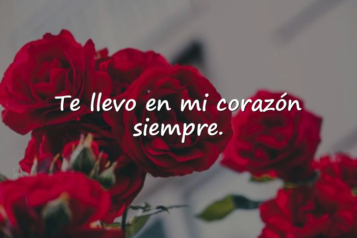 Imágenes frases lindas de amor - 4