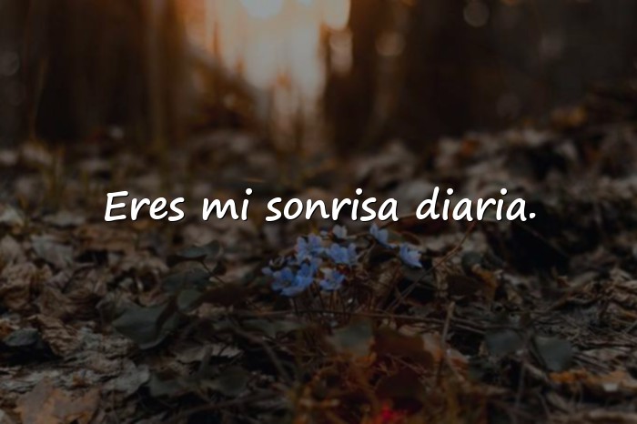 Imágenes frases lindas de amor - 3