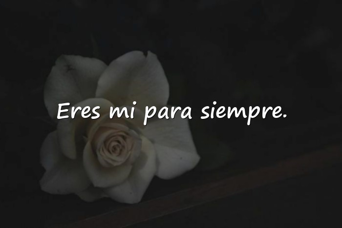Imágenes frases lindas de amor - 1