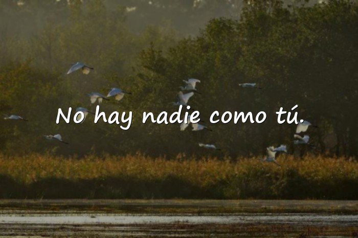 Imágenes frases mamá - 6