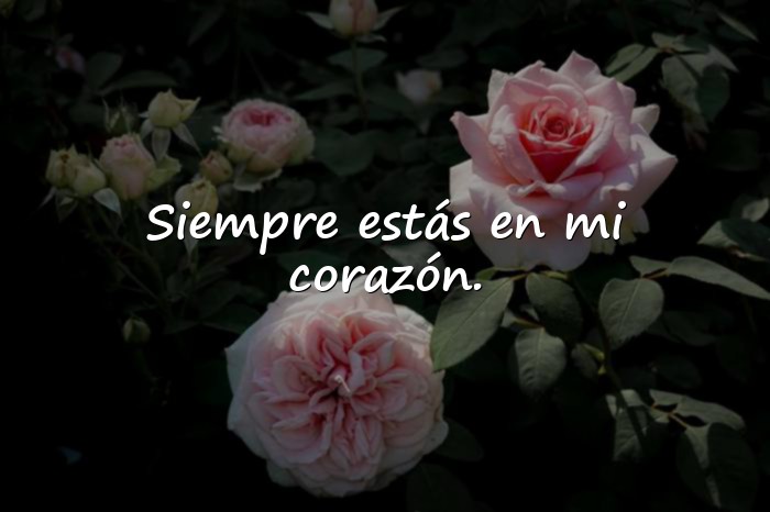Imágenes frases mamá - 3