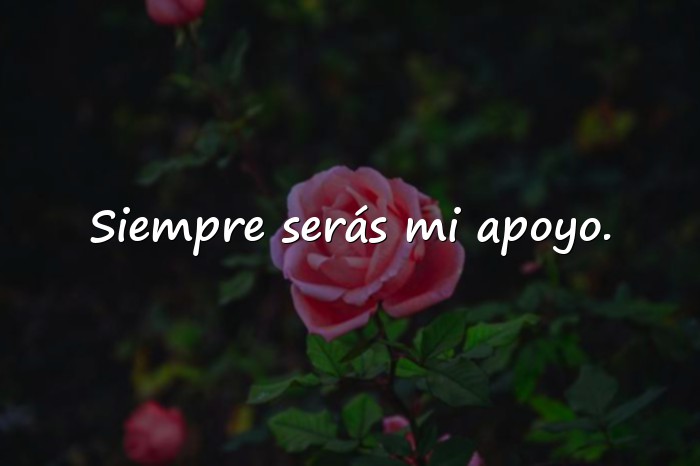 Imágenes frases mamá - 15