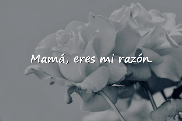 Imágenes frases mamá - 5
