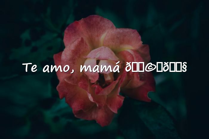 Imágenes frases mamá - 1