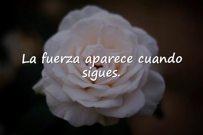 Imágenes frases motivacionales - 22