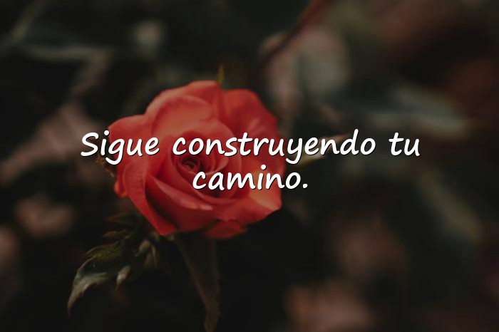 Imágenes frases motivacionales - 17