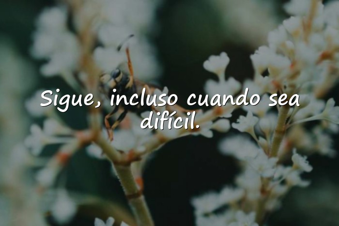 Imágenes frases motivacionales - 1