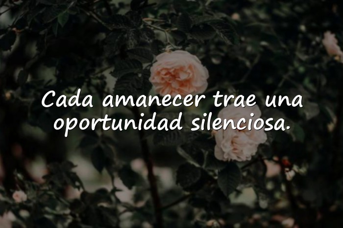 Imágenes frases motivadoras - 13