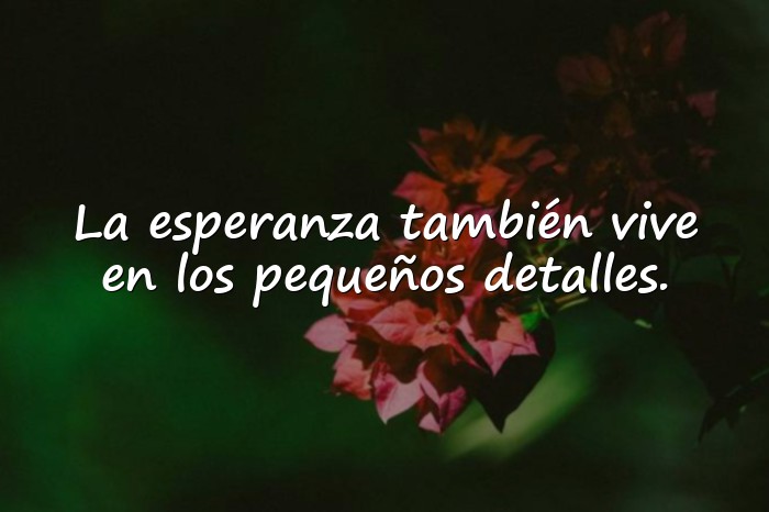 Imágenes frases motivadoras - 4