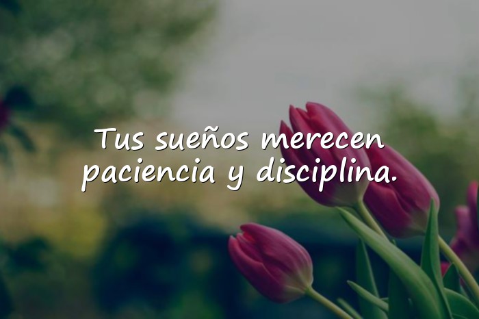 Imágenes frases motivadoras - 20