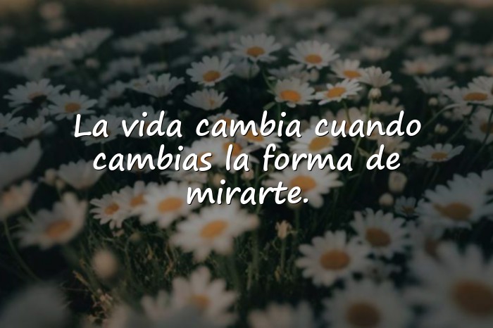 Imágenes frases motivadoras - 16