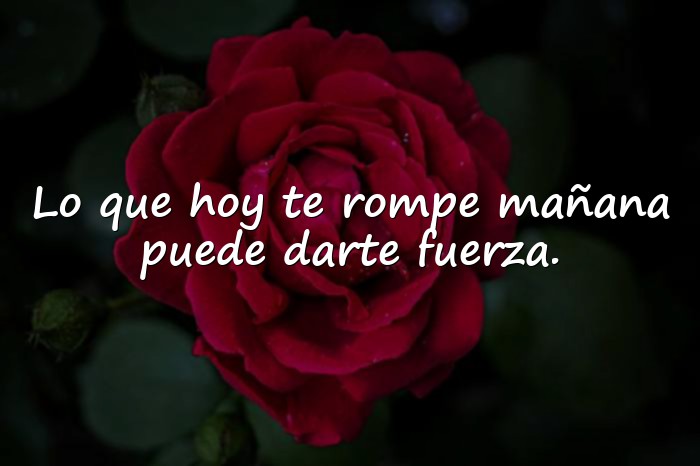 Imágenes frases motivadoras - 11